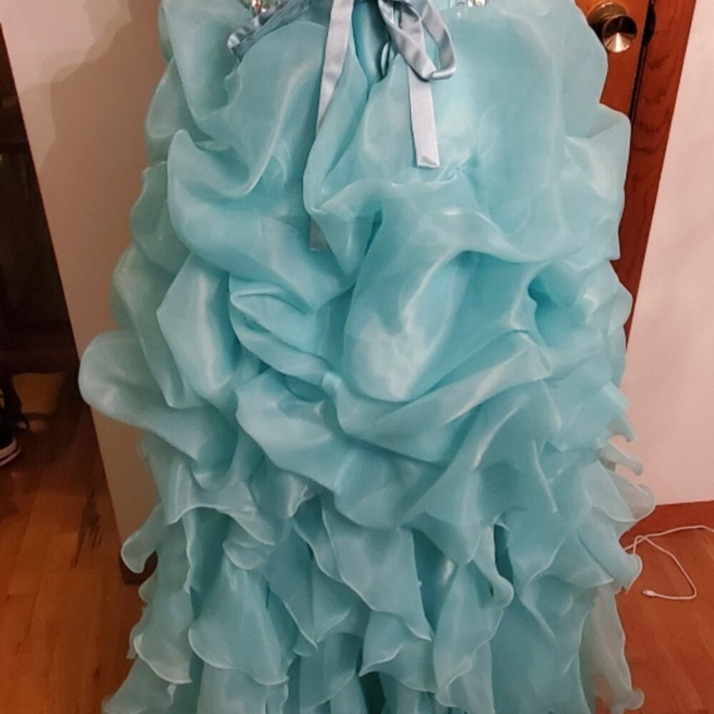 Gown - Picture 4 of 4